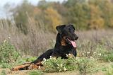 BEAUCERON 378